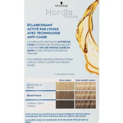 D Coloration M Ches Et Balayage - Nordic Blonde