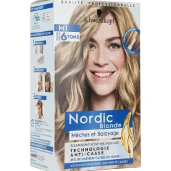 D Coloration M Ches Et Balayage - Nordic Blonde