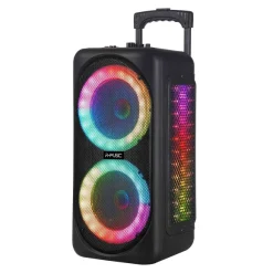 Enceinte High Power Sans Fil + Micro