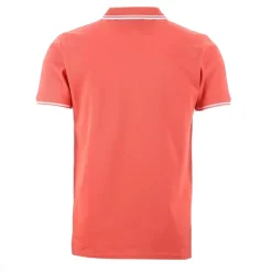 Polo Manches Courtes