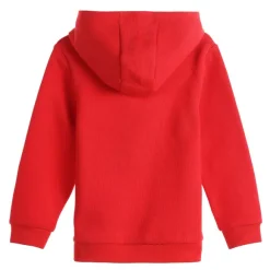 Sweat Capuche Avec Illustration