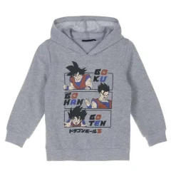 Sweat Capuche Multi-Licences 4/12 Ans