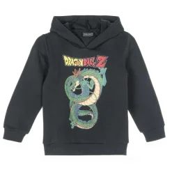 Sweat Capuche Multi-Licences 4/12 Ans