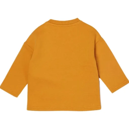 Sweat Ferm Gar On 3/36 Mois