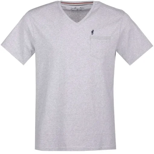 Tee-Shirt Col V Bleu Ou