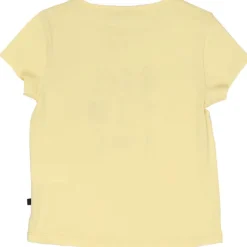 Tee-Shirt Manches Courtes 8/12 Ans