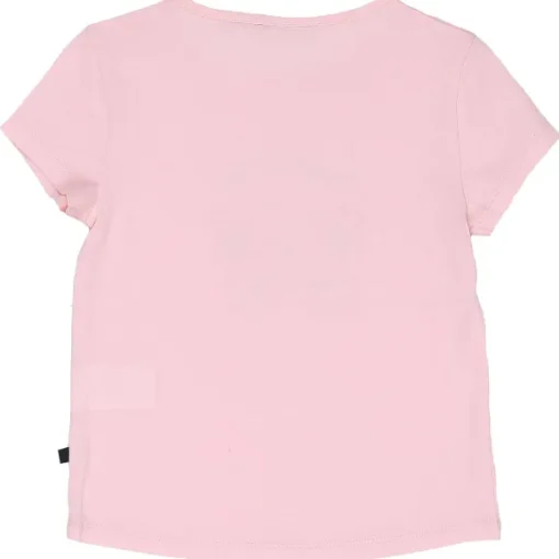 Tee-Shirt Manches Courtes 8/12 Ans