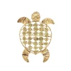 Tortue En Jacinthe D'Eau
