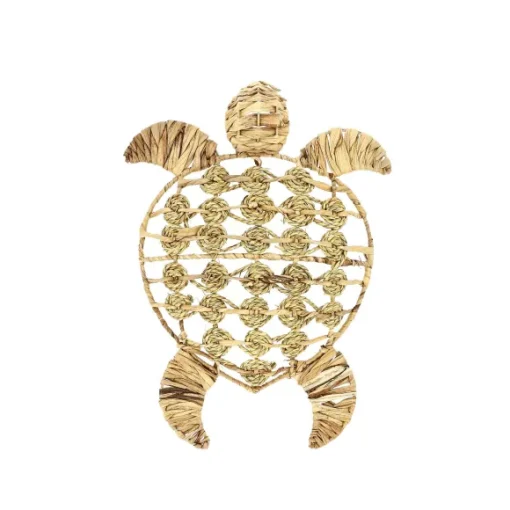 Tortue En Jacinthe D'Eau